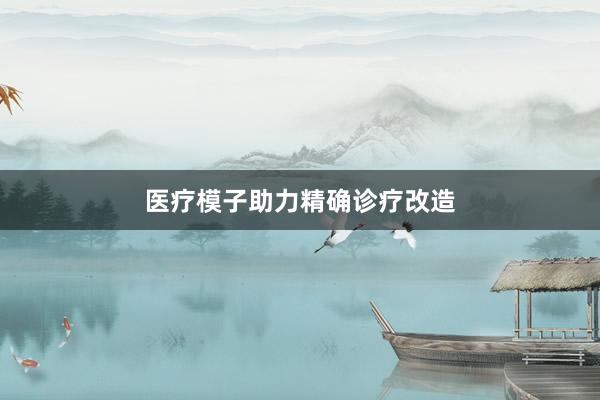 医疗模子助力精确诊疗改造