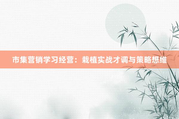 市集营销学习经营：栽植实战才调与策略想维