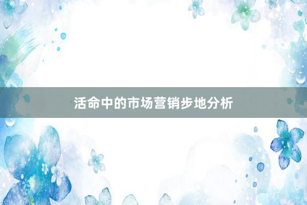 活命中的市场营销步地分析